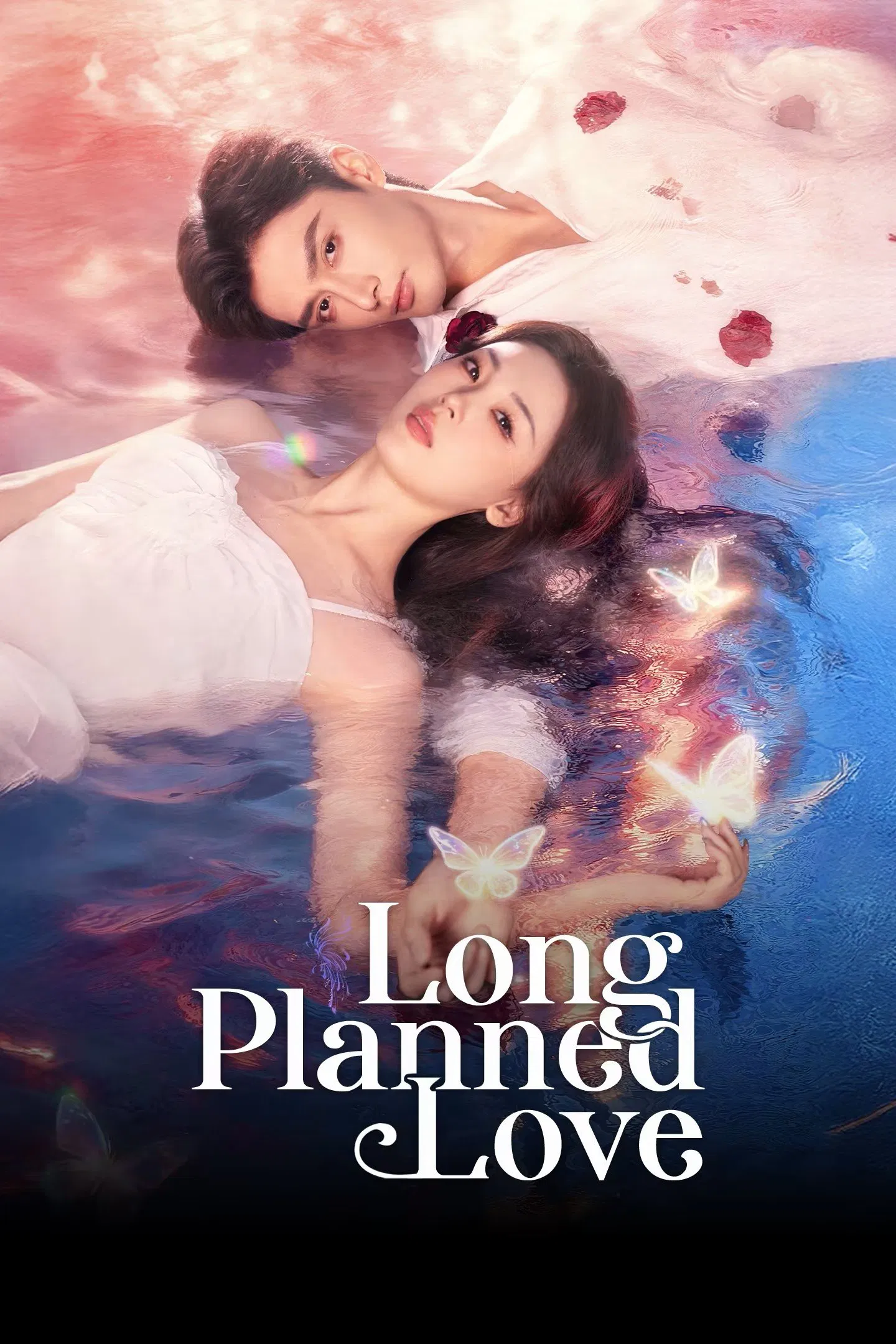 عشق از پیش طراحی شده (Long Planned Love)