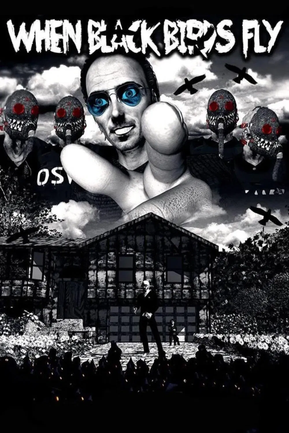 وقتی پرندگان سیاه پرواز می کنند (When Black Birds Fly)