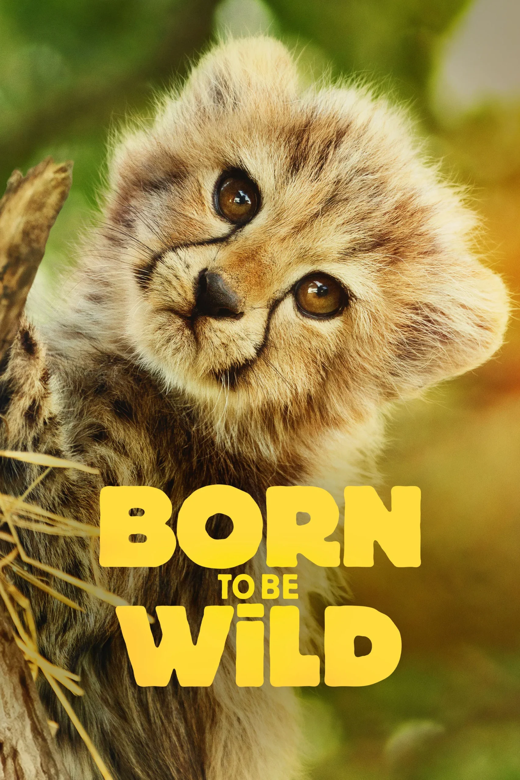 متولد حیات وحش (Born to be Wild)